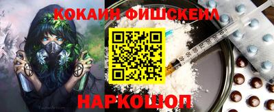 мдпв Камышлов