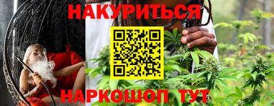 мдпв Камышлов