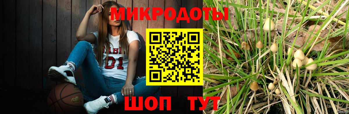 Галлюциногенные грибы мухоморы Курчалой
