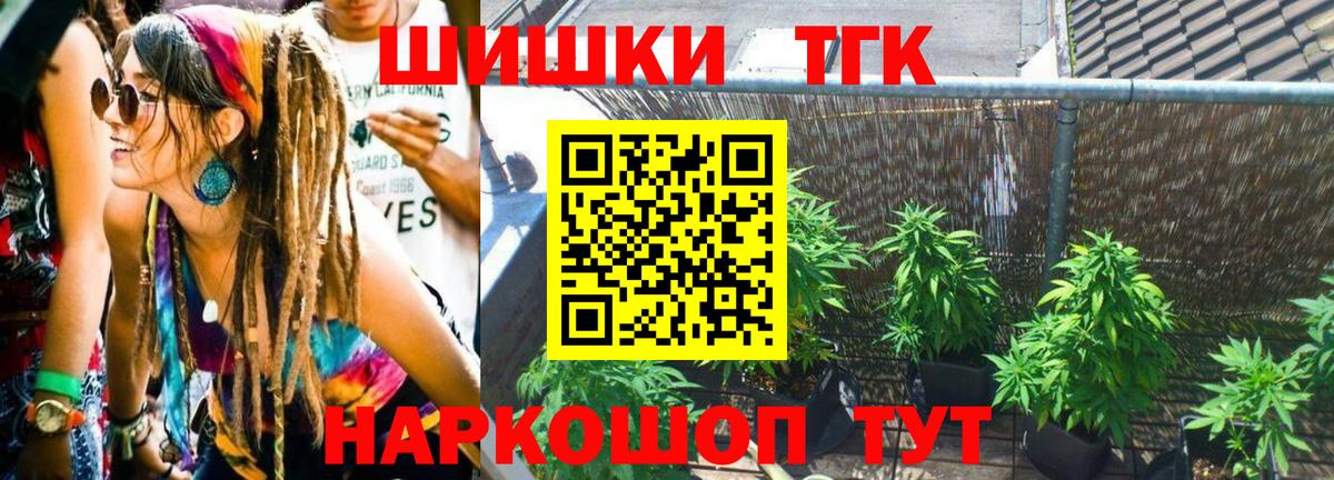 Каннабис OG Kush Курчалой